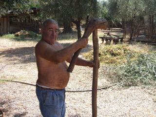 Immagine allegata alla scheda. Per averne una descrizione leggere i dettagli più in basso.